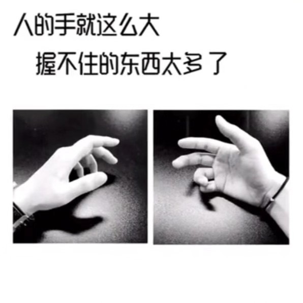 叶落在秋