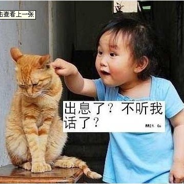 诸葛天月