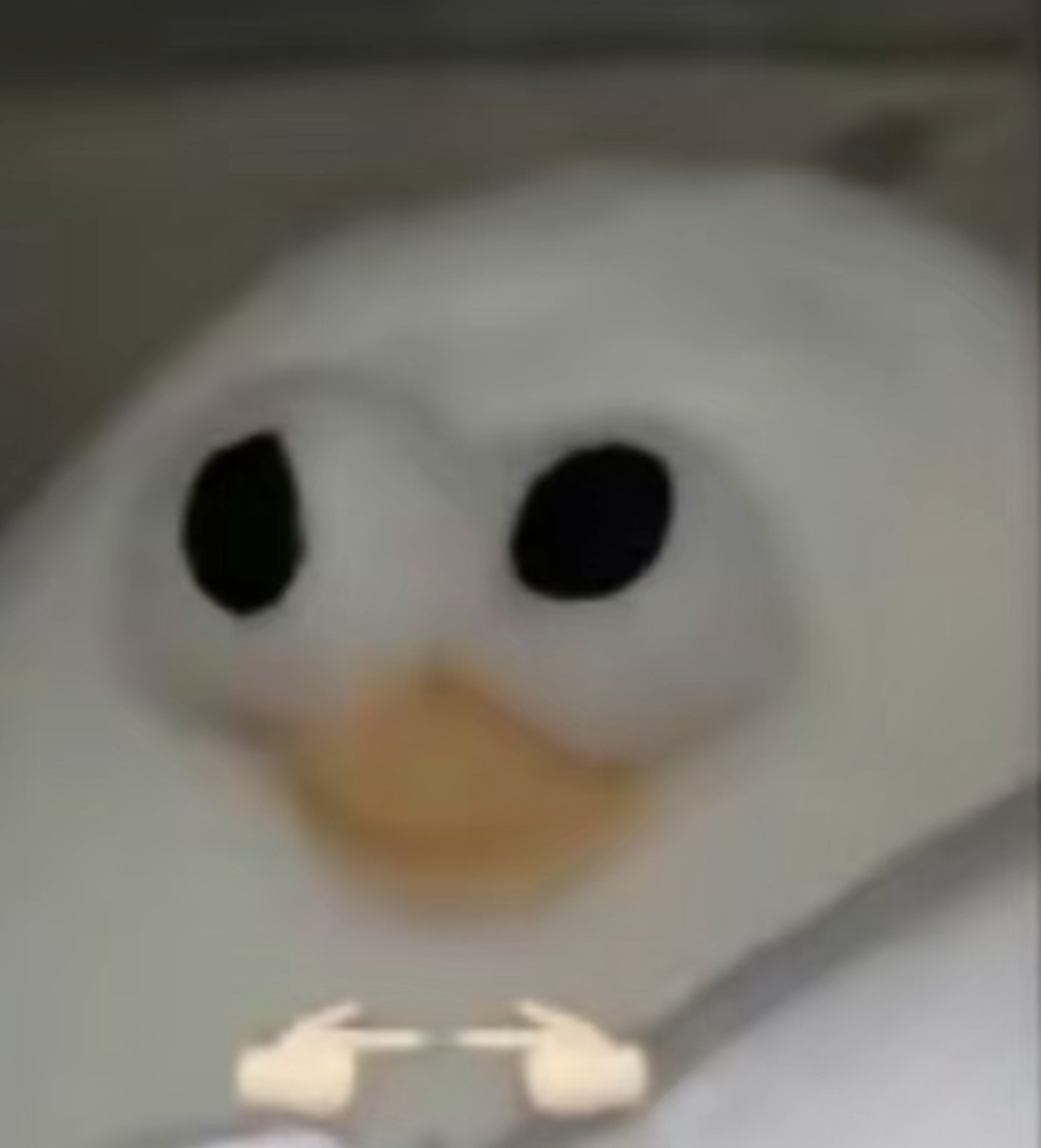 张少爷yiah