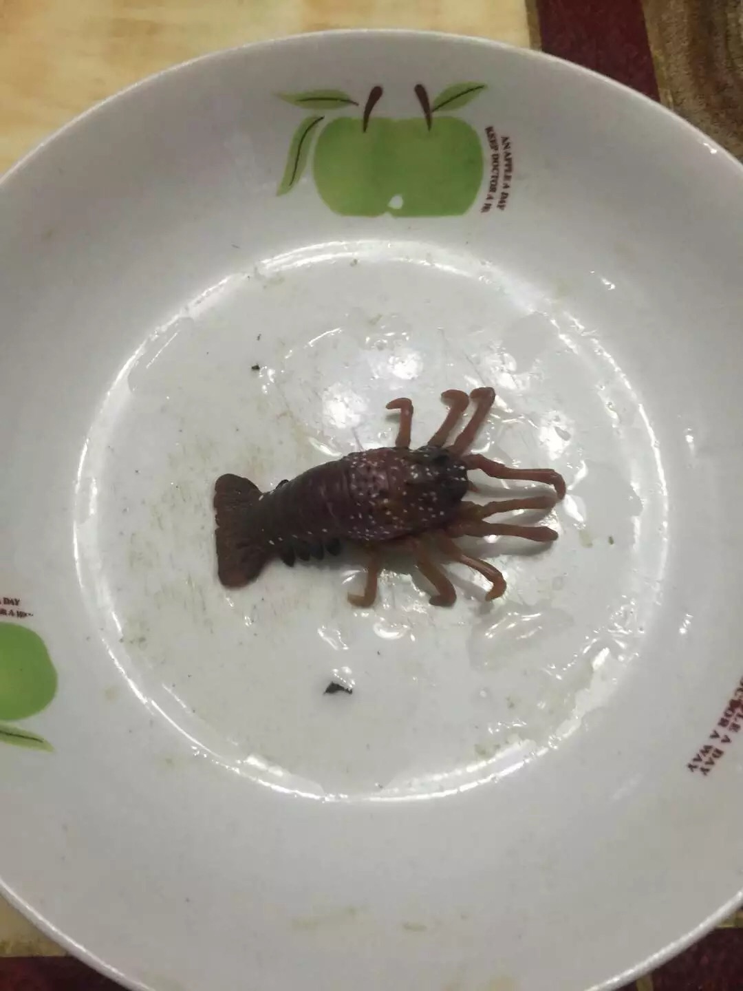 隔壁哇