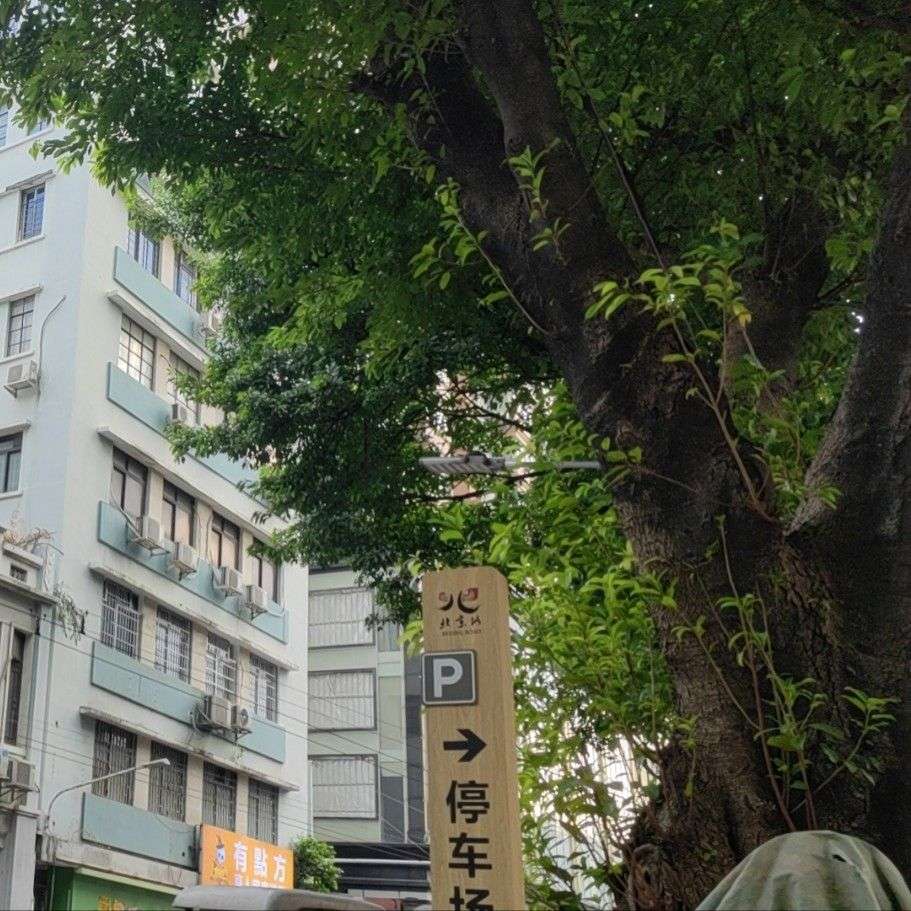 小游戏大乐趣
