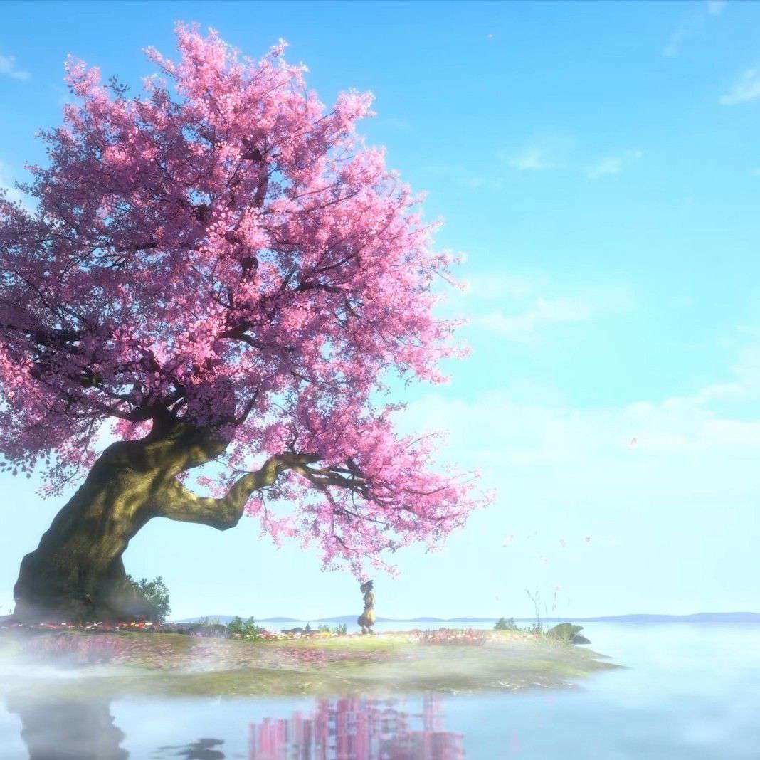 顺其自然ღ