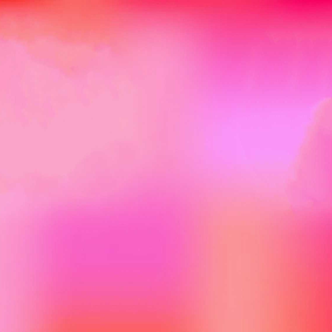 菊花开了
