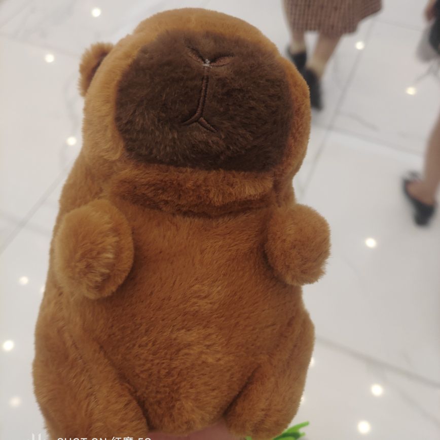 手机用户865517