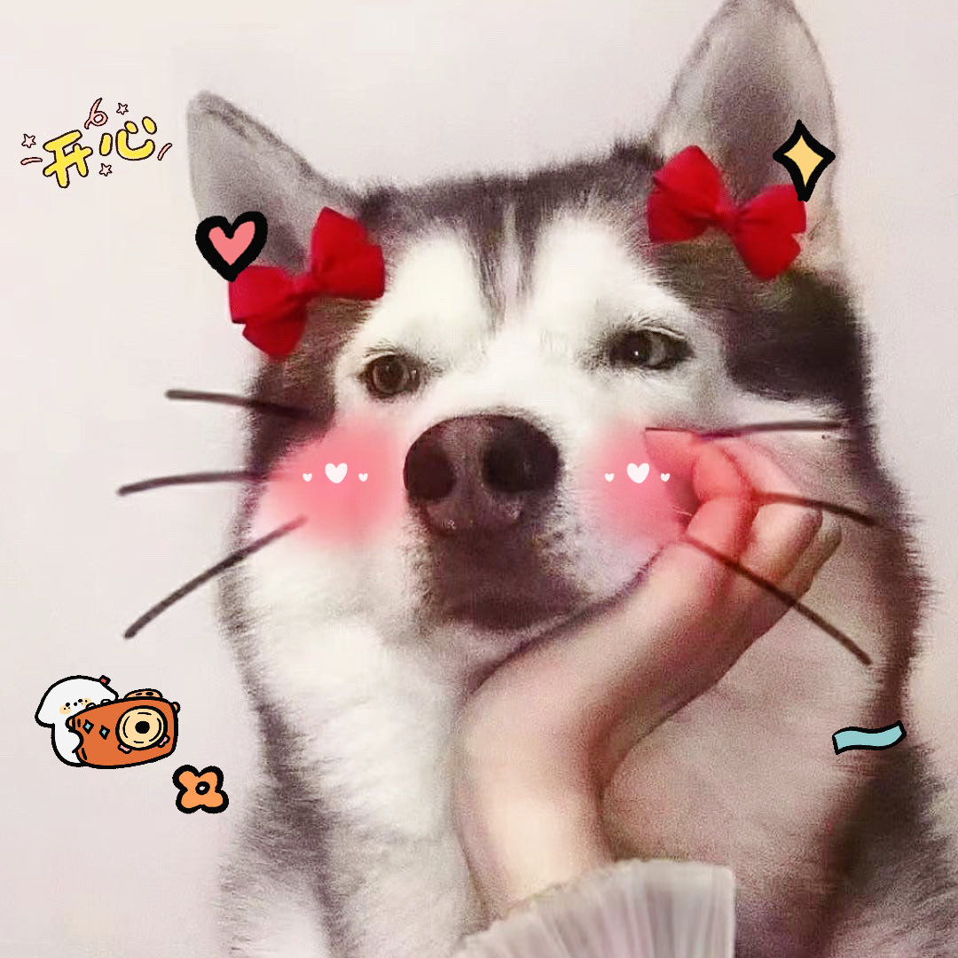 手机用户487820