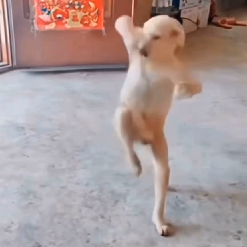 夸张