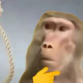 火影记者