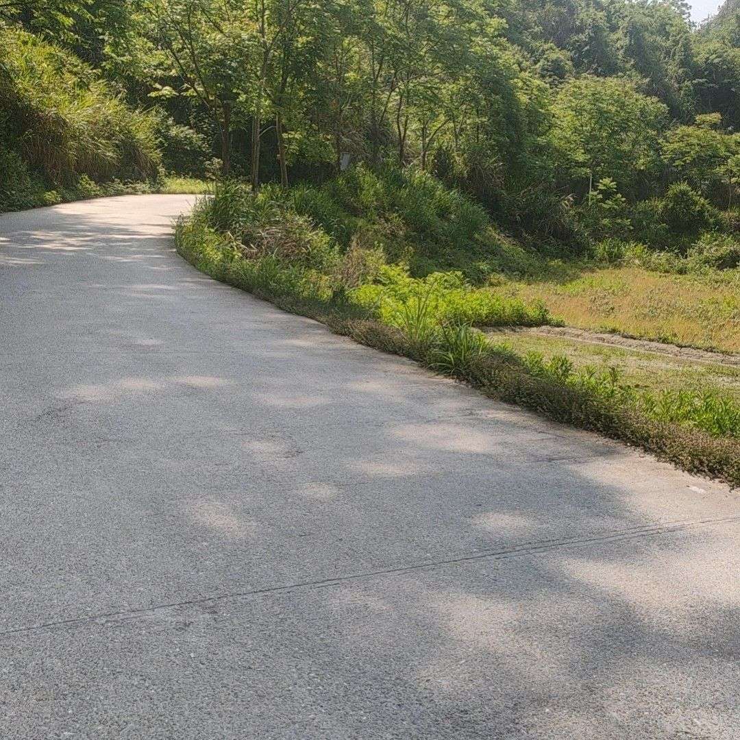 箱子来了