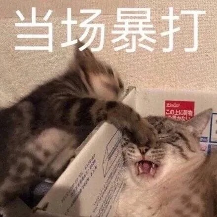下个雨季