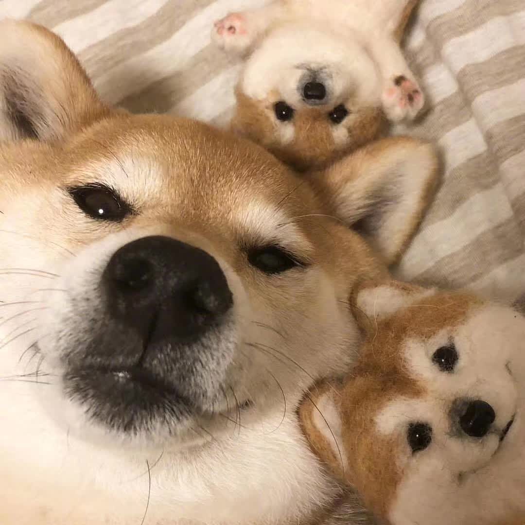 听之任之
