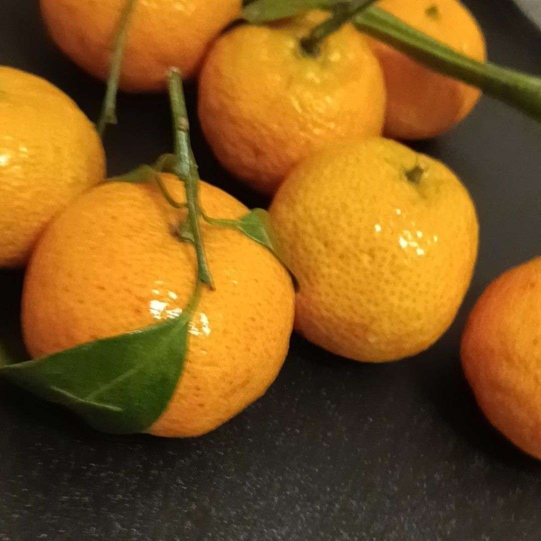 风萧萧兮易水寒kh