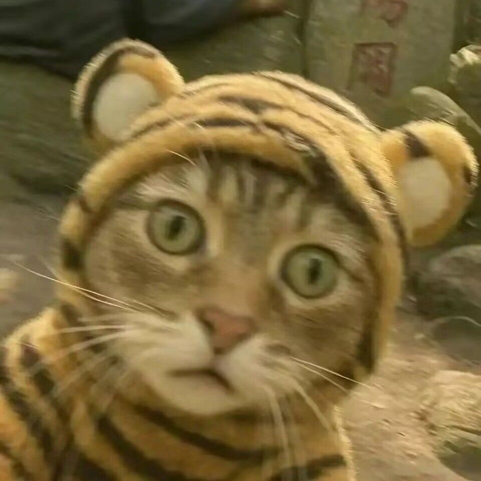念旭