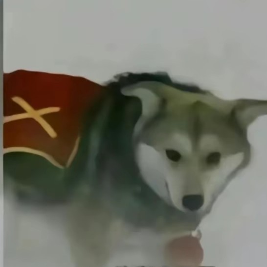 只做萌神战姬攻略