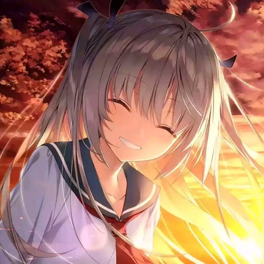 冰絣