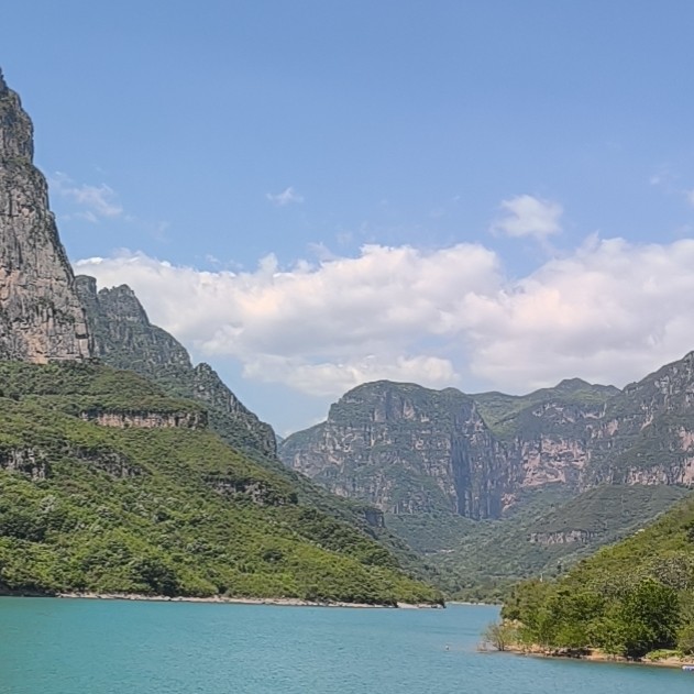 核能的流萤