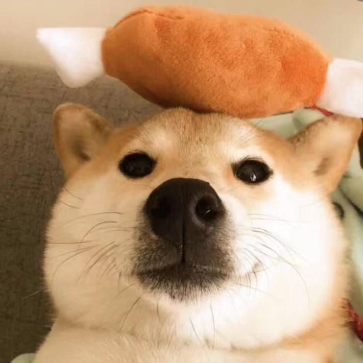 风好大呀!