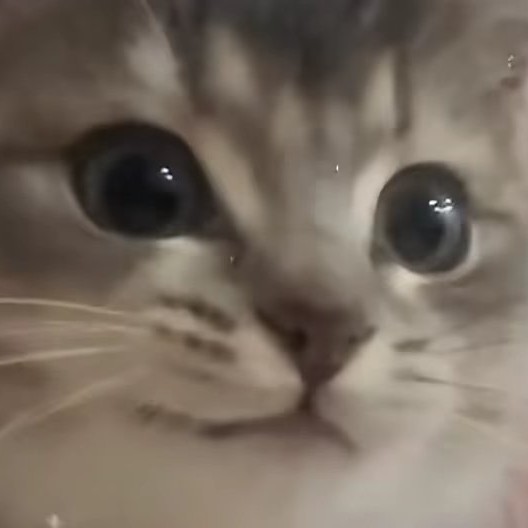 离欢人