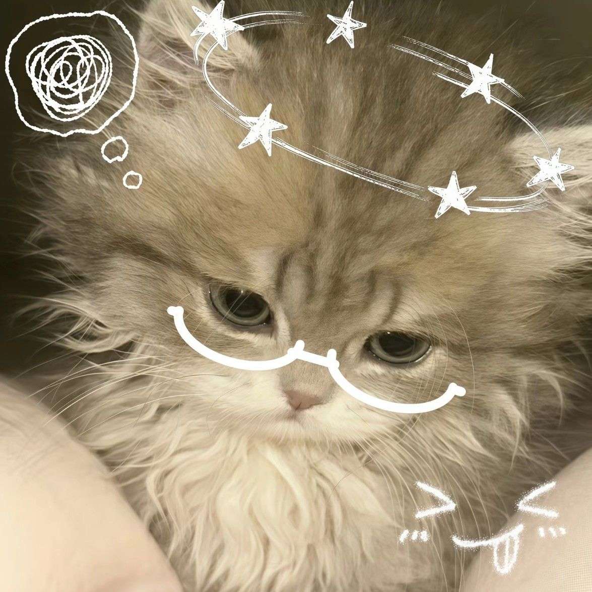 晓晓大王