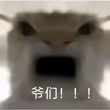 鲁班卡级成长计