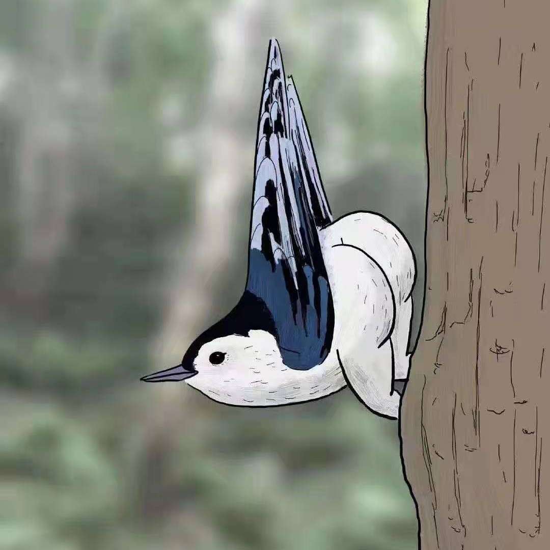 破茧鱼