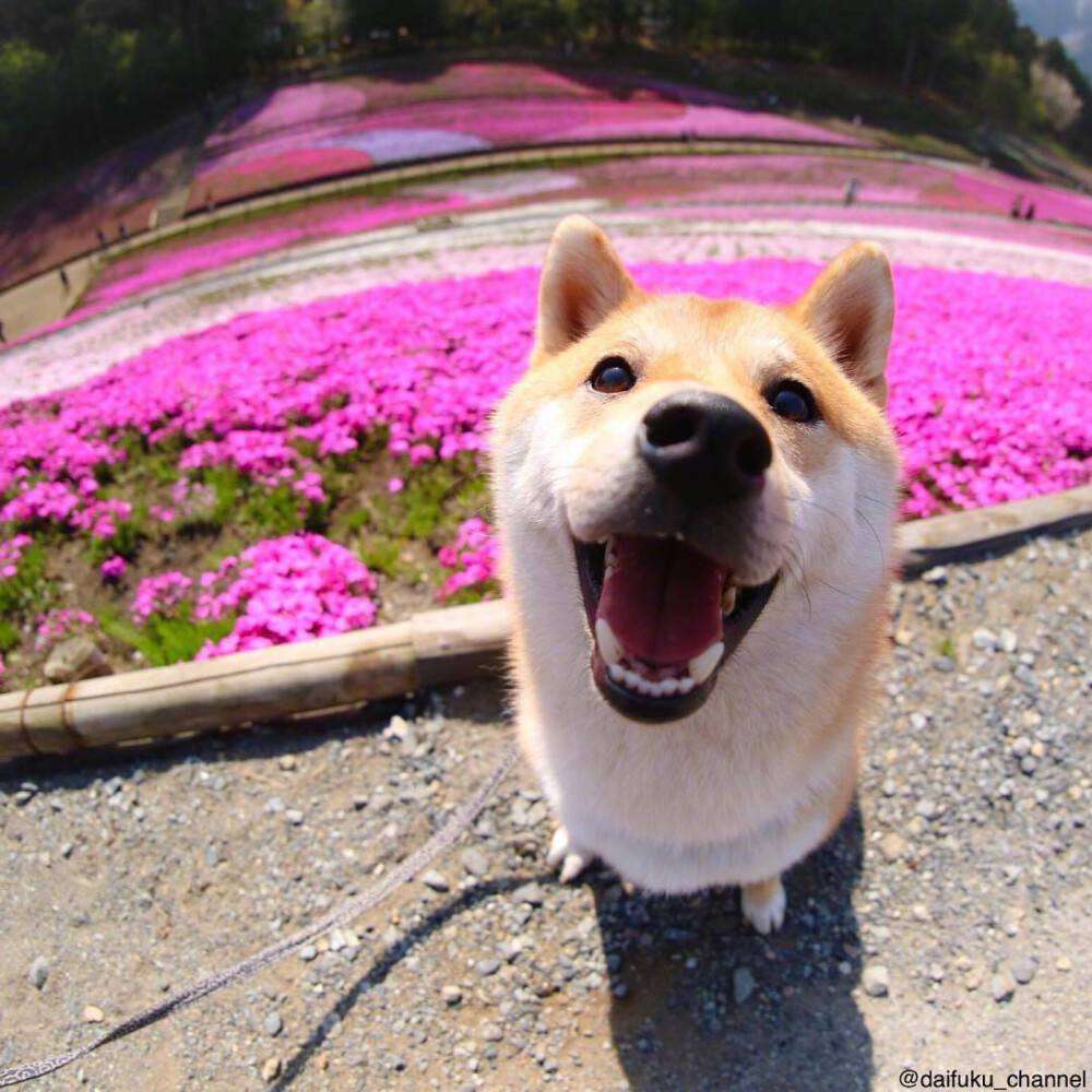 天人为一