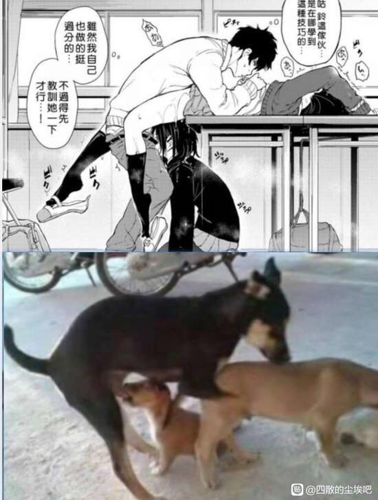 俄界河