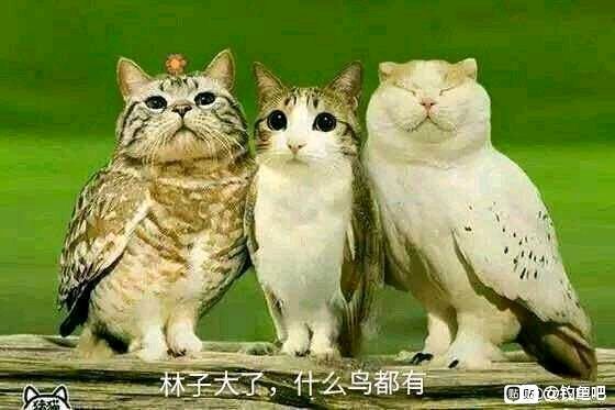 星空无痕